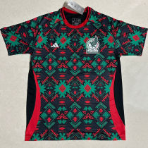 2023/24 Mexico Fans Soccer Jersey