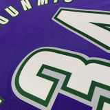 The Bucks ANTETOKOUNMPO #34 purple Retro NBA Jerseys