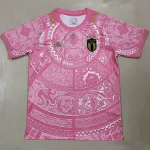 2023/24 Italy Special Edition Fans Soccer Jersey