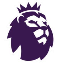 2023/24 Premier League Rubber Patch 新 英超胶章 (You can buy it Or tell me to print it on the Jersey )