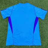 2023 Argentina Blue 3 Start Training Jersey 3星