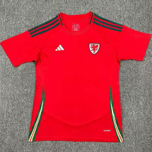2024/25 Wales Home Red Fans Soccer Jersey