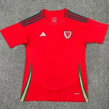 2024/25 Wales Home Red Fans Soccer Jersey