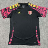 2024/25 Peru Away Fans Soccer Jersey