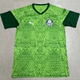 2024/25 Palmeiras Green Training Jersey