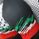 2024 Palestine Player Version Soccer Jersey