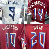 2024/25 Norway Away Fans Soccer Jersey