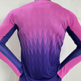 2024/25 Germany Away Pink Player Version Long Sleeve Jersey