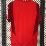 2024/25 Internacional Red Training Jersey 大红色