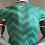 2024 Mexico Dragon Ball Player Version Soccer Jersey