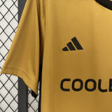 2024/25 Colo-Colo Copa Libertadores da América Special Version Fans Jersey