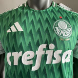 2024/25 Palmeiras Special Edition Green Player Version Jersey （AD~啊迪款）