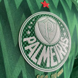 2024/25 Palmeiras Special Edition Green Player Version Jersey （AD~啊迪款）