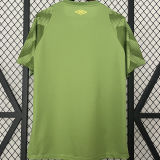 2024/25 Fluminense Green Goalkeeper Fans Jersey
