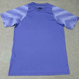 2024/25 Fluminense Purple Goalkeeper Fans Jersey