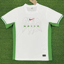 2024/25 Nigeria White Fans Soccer Jersey