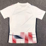 2024/25 San Lorenzo Away Fans Soccer Jersey 圣洛伦索