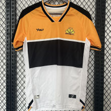 2024/25 Criciuma Home Yellow White Fans Jersey 克里丘马