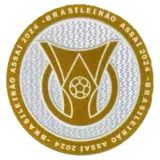 2024 植绒 BRASILEIRAO ASSAI Flocking Patch 2024巴甲联赛臂章 (You can buy it Or tell me to print it on the Jersey )