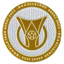 2024 植绒 BRASILEIRAO ASSAI Flocking Patch 2024巴甲联赛臂章 (You can buy it Or tell me to print it on the Jersey )