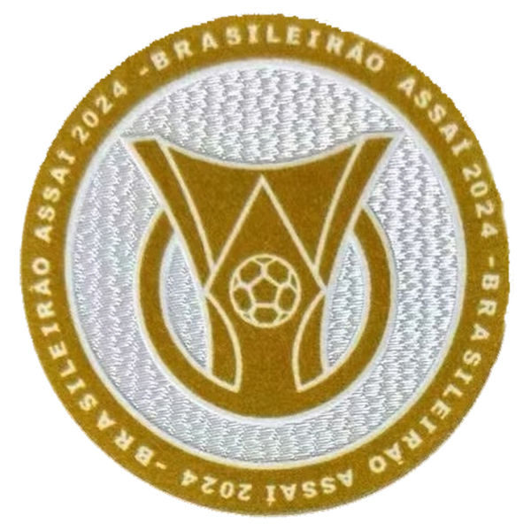 2024 植绒 BRASILEIRAO ASSAI Flocking Patch 2024 巴甲联赛臂章 (You can buy it Or tell me to print it on the Jersey )