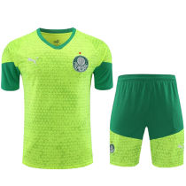 2024/25 Palmeiras Yellow Training Tracksuit