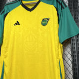 2024/25 JAMAICA Home REGGAE BOYZ Fans Soccer Jersey