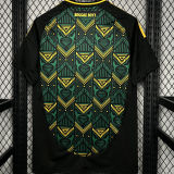 2024/25 JAMAICA Away REGGAE BOYZ Fans Soccer Jersey
