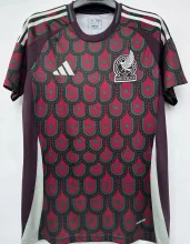 2024/25 Mexico 1:1 Quality Home Fans Soccer Jersey