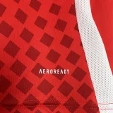 2024/25 Chile Home Red Fans Soccer Jersey