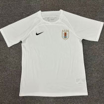2024/25 Uruguay Special Edition White Fans Jersey 乌拉圭