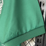2024/25 Palmeiras Special Edition Green White Fans Soccer Jersey