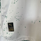 2024/25 Palmeiras Special Edition Green White Fans Soccer Jersey