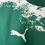 2024/25 Palmeiras Special Edition Green Fans Soccer Jersey