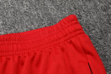 2025 Fluminense Red Sweater Tracksuit
