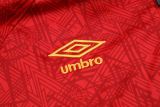 2025 Fluminense Red Sweater Tracksuit