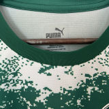 2024/25 Palmeiras Special Edition Green Fans Soccer Jersey