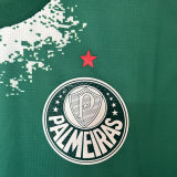 2024/25 Palmeiras Special Edition Green Fans Soccer Jersey