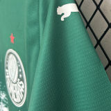 2024/25 Palmeiras Special Edition Green White Fans Soccer Jersey