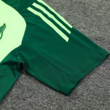 2025 Mexico Light Green Training Tracksuit