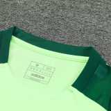 2025 Mexico Light Green Training Tracksuit