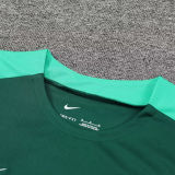 2025 Portugal Green Vest Training Jersey(A Set)