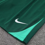 2025 Portugal Green Vest Training Jersey(A Set)