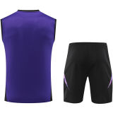2025 Germany Purple Vest Training Jersey(A Set)