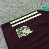 2025 Mexico Light Green Training Tracksuit