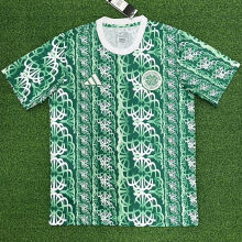 2024/25 Celtic Green Training
