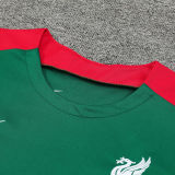 2025 Liv Green Training Jersey(A Set)