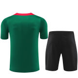 2025 Liv Green Training Jersey(A Set)