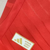 2024/25 Benfica Home Red Player Version Soccer Jersey