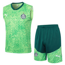 2024/25 Palmeiras Green Vest Training Jersey(A Set)